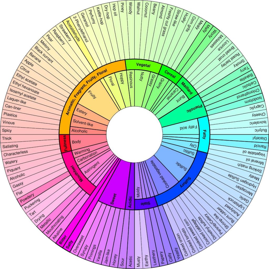 sensory-evaluation-techniques-meilgaard-morten-free-download-borrow-and-streaming