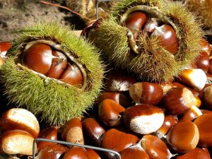 Castagne