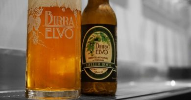 Birra artigianale Elvo