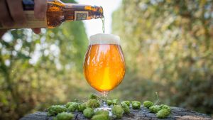 La natura "onnibibula" dei bevitori di birra artigianale americana