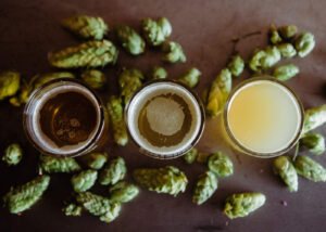 Tre birre e luppoli - foto di Missy Fant su Unsplash
