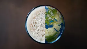 Sostenibilità della birra per il pianeta