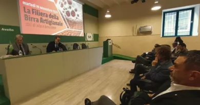 Un momento del convegno "La filiera della birra artigianale", Roma novembre 2024