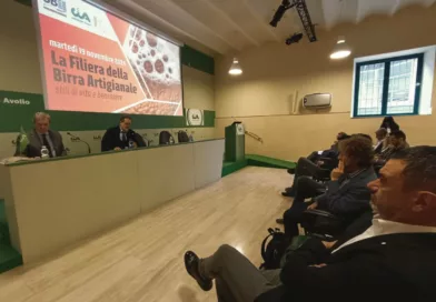 Un momento del convegno "La filiera della birra artigianale", Roma novembre 2024